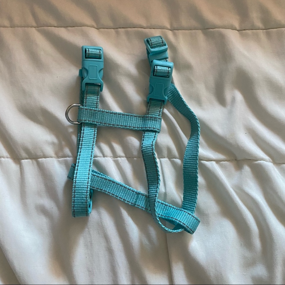 [SOLD] PETS SPECIAL $25/5 - adjustable strappy harness